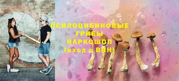 первитин Туринск
