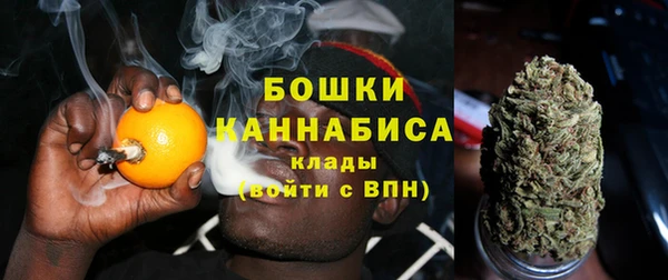первитин Туринск