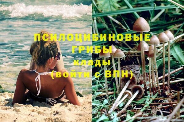 первитин Туринск