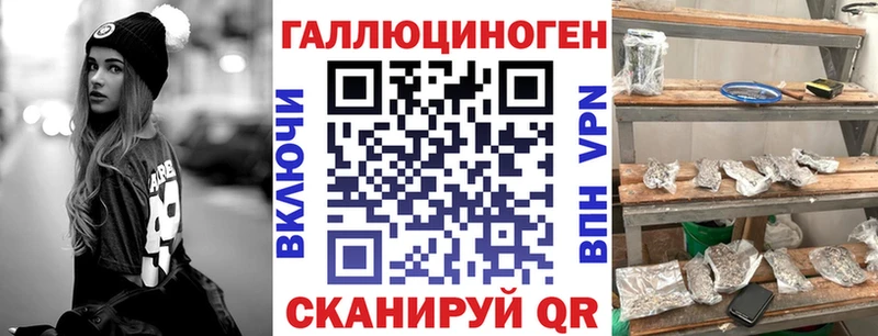 как найти закладки  Райчихинск  Галлюциногенные грибы Magic Shrooms 