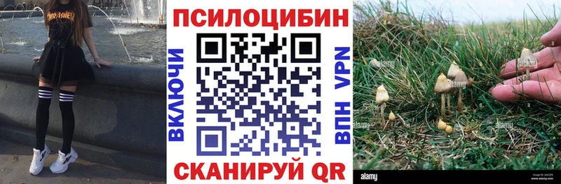 Псилоцибиновые грибы мухоморы Райчихинск