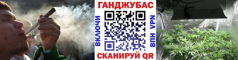 Конопля сатива  Райчихинск 
